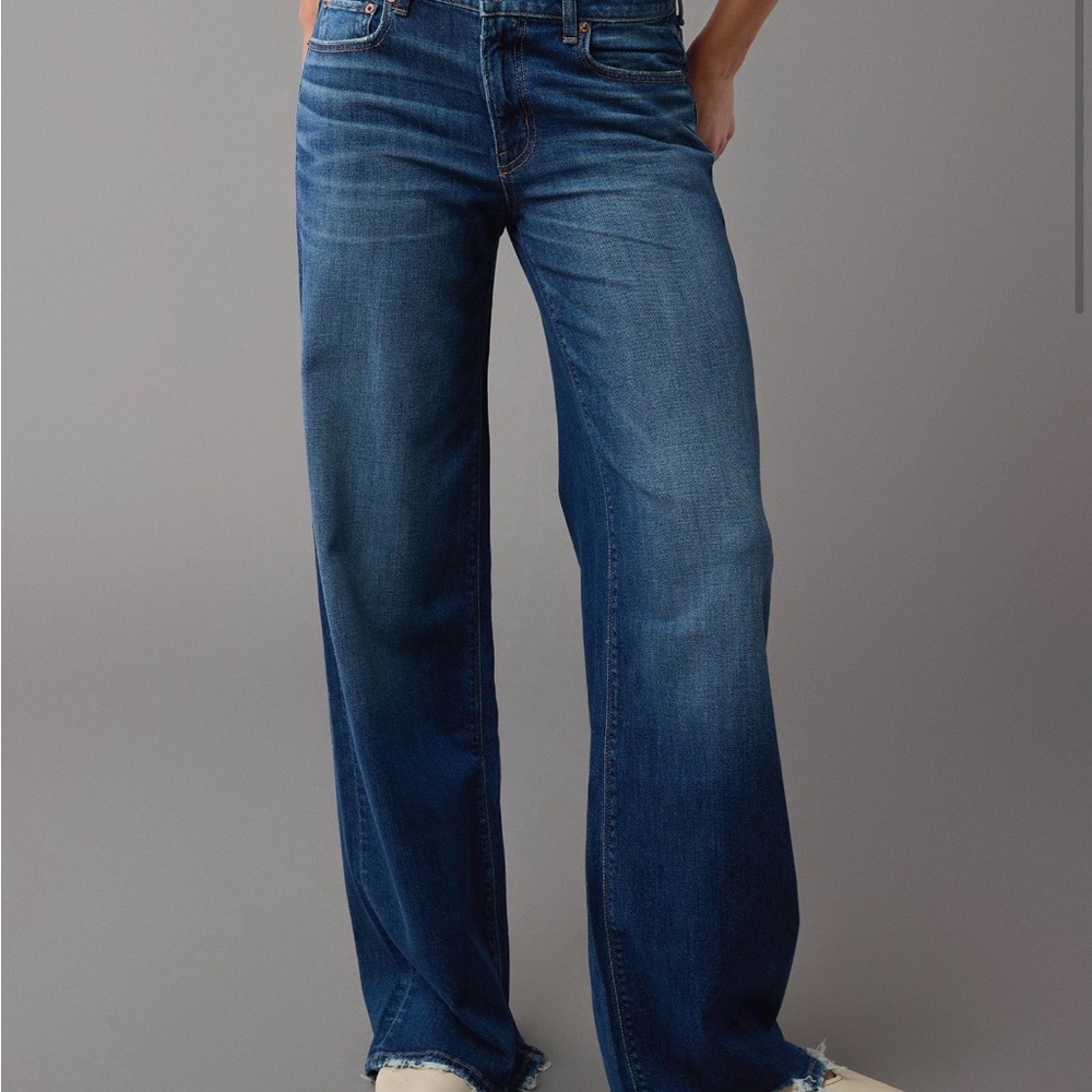 AE Low Rise Baggy Wide Leg Jean